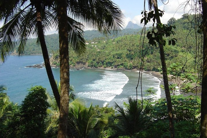 Surf Lessons and Board Rentals - Photo 1 of 5